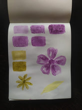 Load image into Gallery viewer, Earth Pigments & Chalk Paints: Recorded Version
