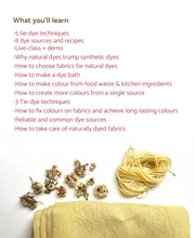 Load image into Gallery viewer, Dye with Nature: Recording + Notes