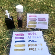 Load image into Gallery viewer, Paint with Nature: Lifetime Access