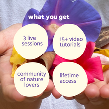 Load image into Gallery viewer, Magic of Natural Colours: Online Workshop (Anytime Access)