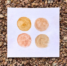 Load image into Gallery viewer, Earth Pigments & Chalk Paints: Recorded Version