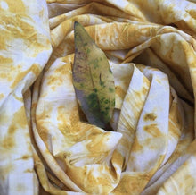 Load image into Gallery viewer, Petal Prints: Online Workshop (Recorded)