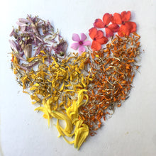 Load image into Gallery viewer, Find Your Calm: Online Workshop (Videos)