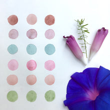 Load image into Gallery viewer, Natural Inks Workshop (Recorded - Lifetime Access)