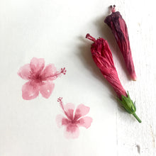 Load image into Gallery viewer, Natural Inks Workshop (Recorded - Lifetime Access)