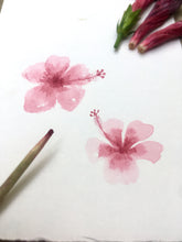 Load image into Gallery viewer, Natural Inks Workshop (Recorded - Lifetime Access)