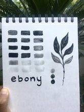 Load image into Gallery viewer, Earth Pigments & Chalk Paints: Recorded Version