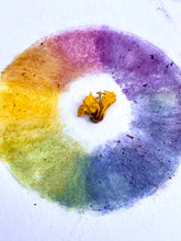 Load image into Gallery viewer, Find Your Calm: Online Workshop (Videos)