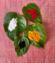 Load image into Gallery viewer, Natural Colour Ganesha: Online Workshop + Paint Party