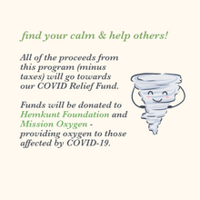 Load image into Gallery viewer, Find Your Calm: Online Workshop (Videos)