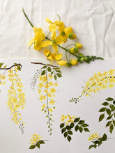 Load image into Gallery viewer, Paint with Nature: Lifetime Access