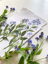 Load image into Gallery viewer, Paint with Nature: Lifetime Access