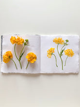 Load image into Gallery viewer, Paint with Nature: Lifetime Access