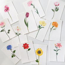 Load image into Gallery viewer, Paint with Nature: Lifetime Access