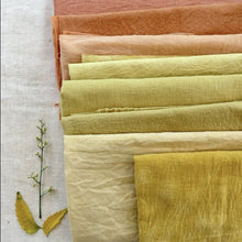 Load image into Gallery viewer, Dye with Nature: Recording + Notes