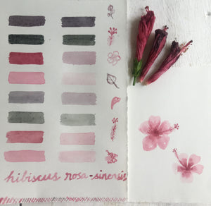 Natural Inks Workshop (Recorded - Lifetime Access)