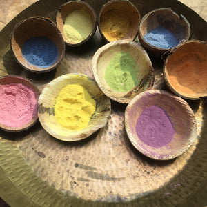 Naturally Holi - Video Guide