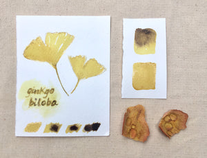 Natural Inks Workshop (Recorded - Lifetime Access)