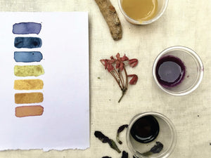 Natural Inks Workshop (Recorded - Lifetime Access)